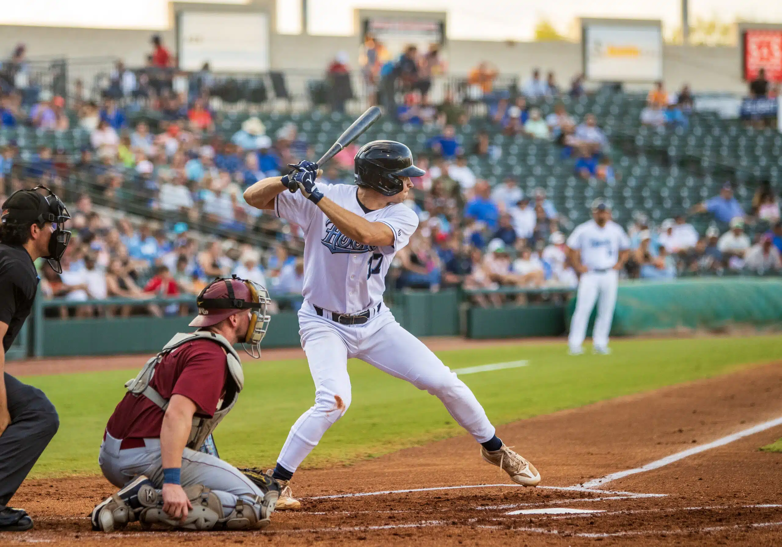 Astros Prospect Jeron Williams