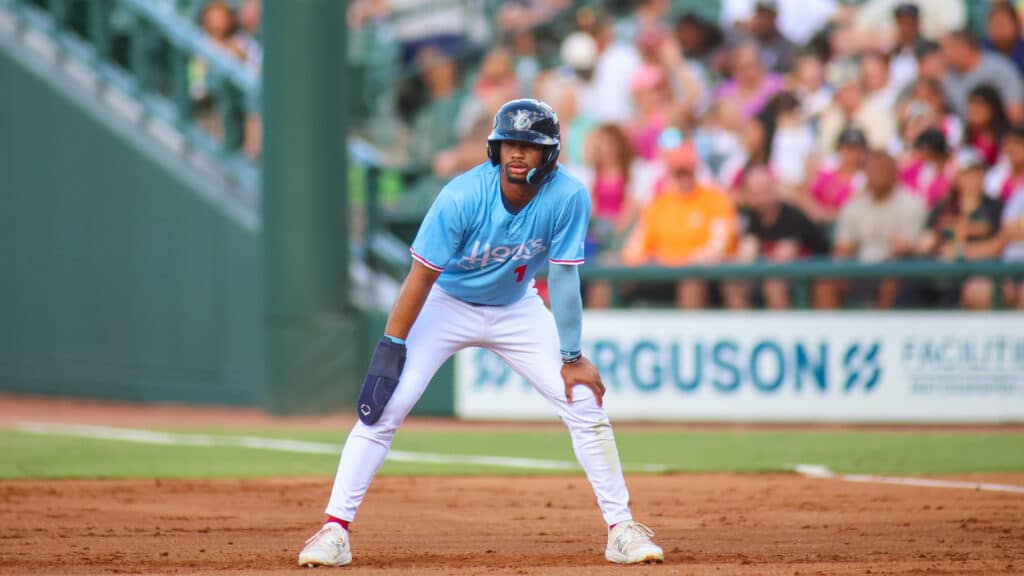 astros prospect brice matthews