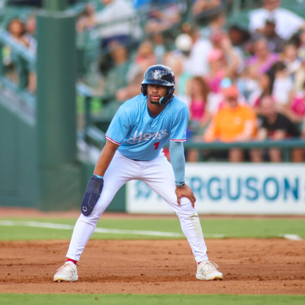 astros prospect brice matthews